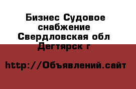 Бизнес Судовое снабжение. Свердловская обл.,Дегтярск г.